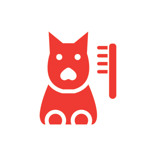 Cat and Dog Teeth Cleanings