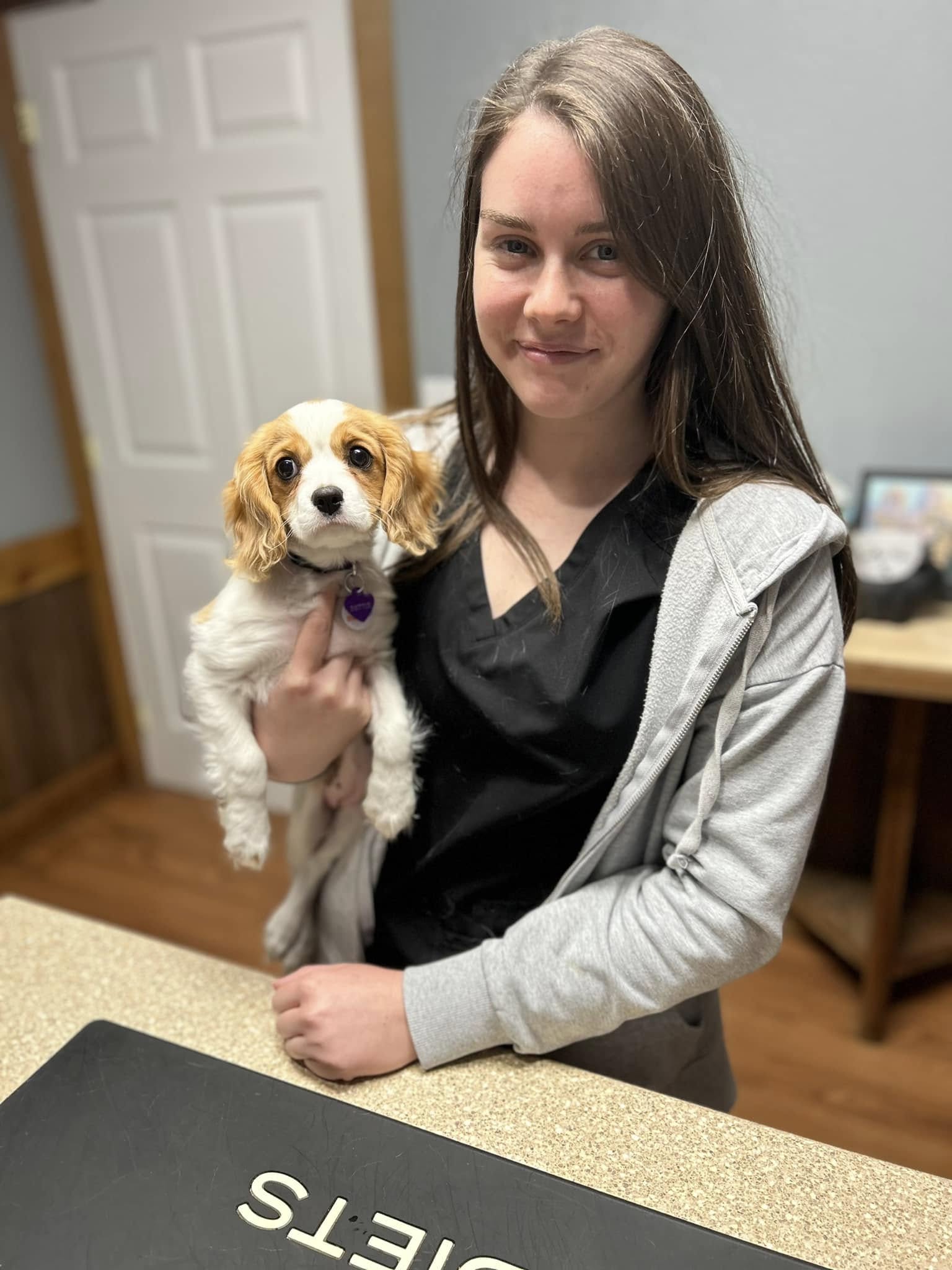 Woman Vet Assistant Holding a Small Dog