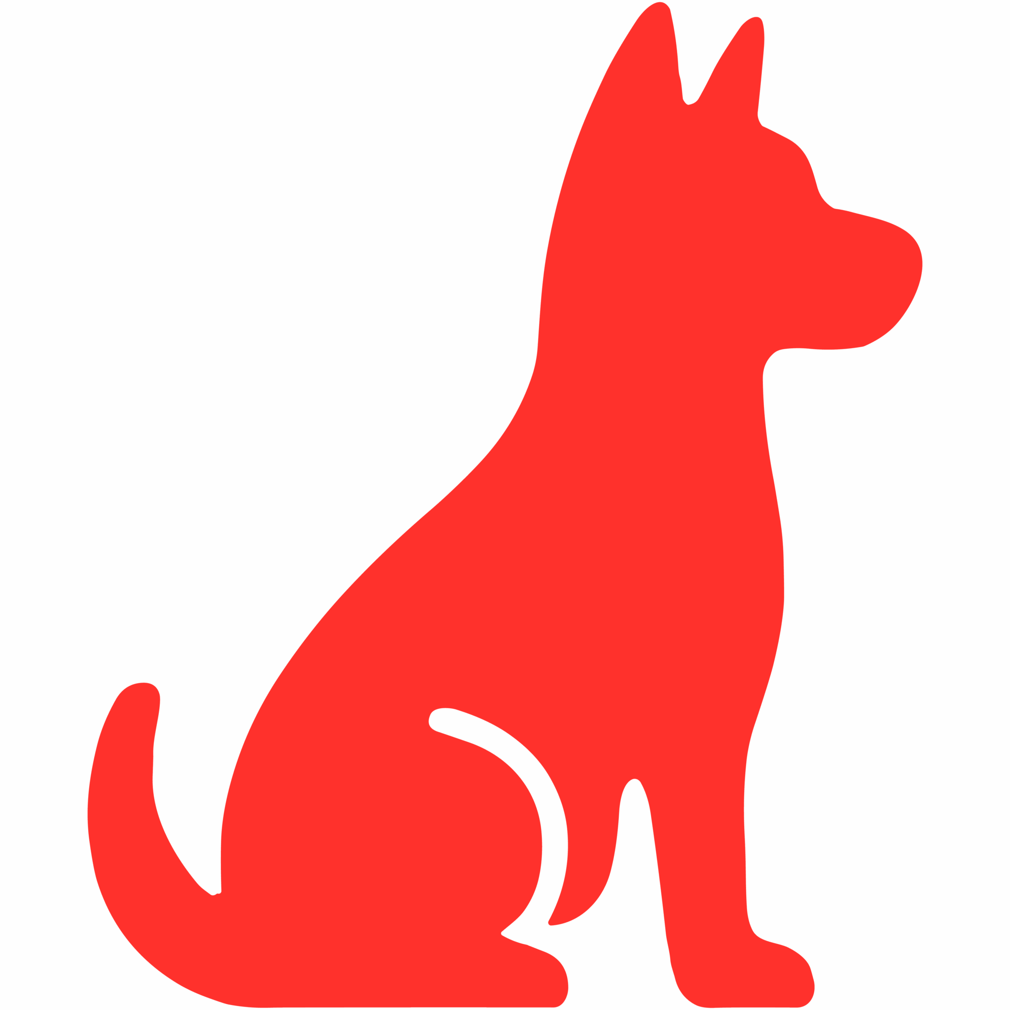 Large and giant-breed dogs