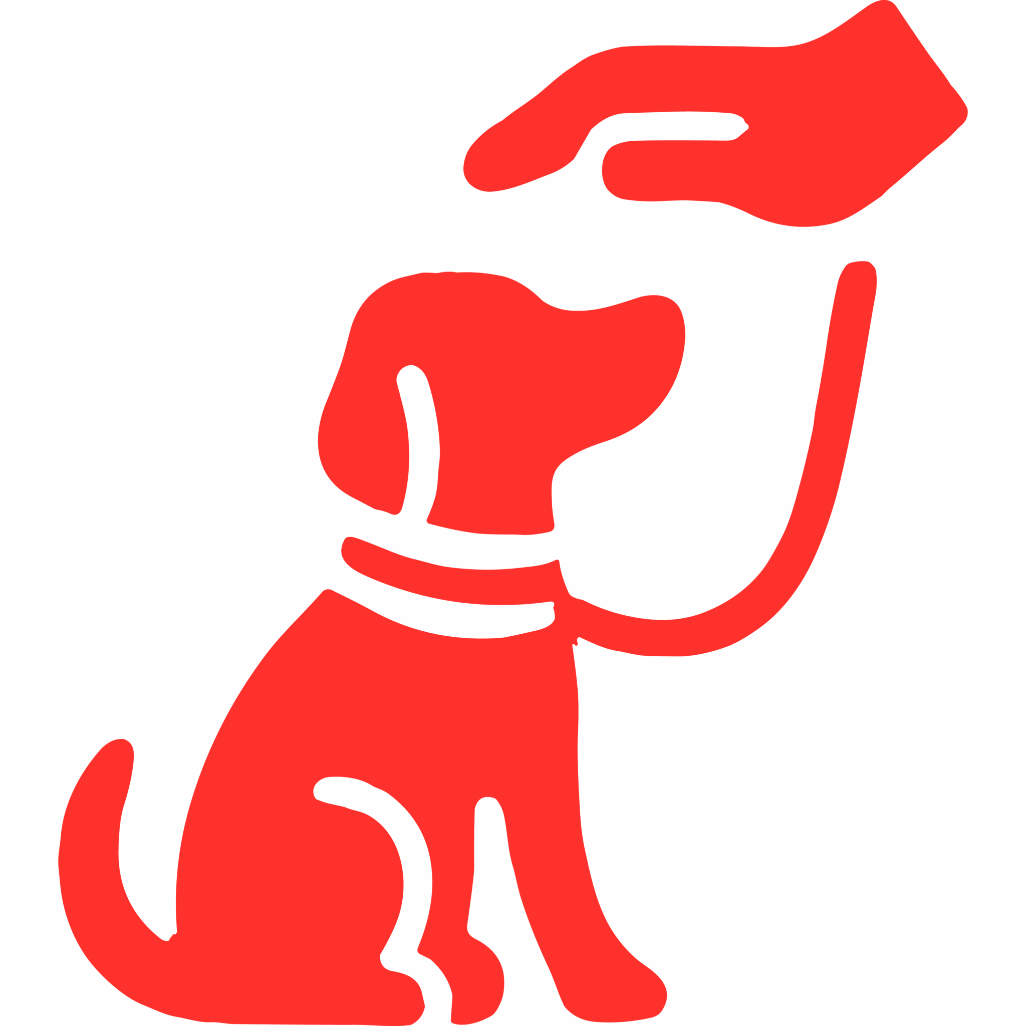 Small- and medium-breed dogs