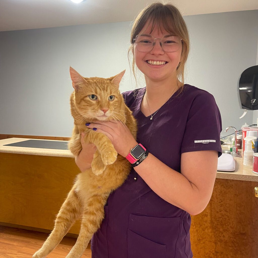 smiling female veterinary technician holding orange cat
