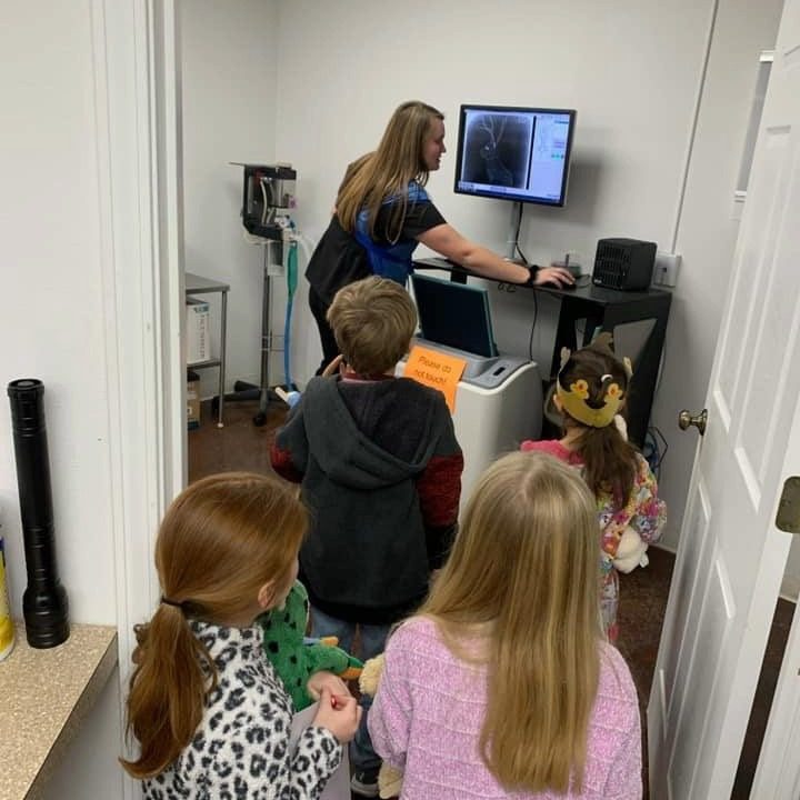 female veterinarian giving presentation to group of children