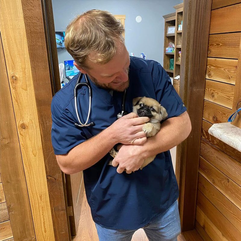 Doctor Bock Holding A Small Dog