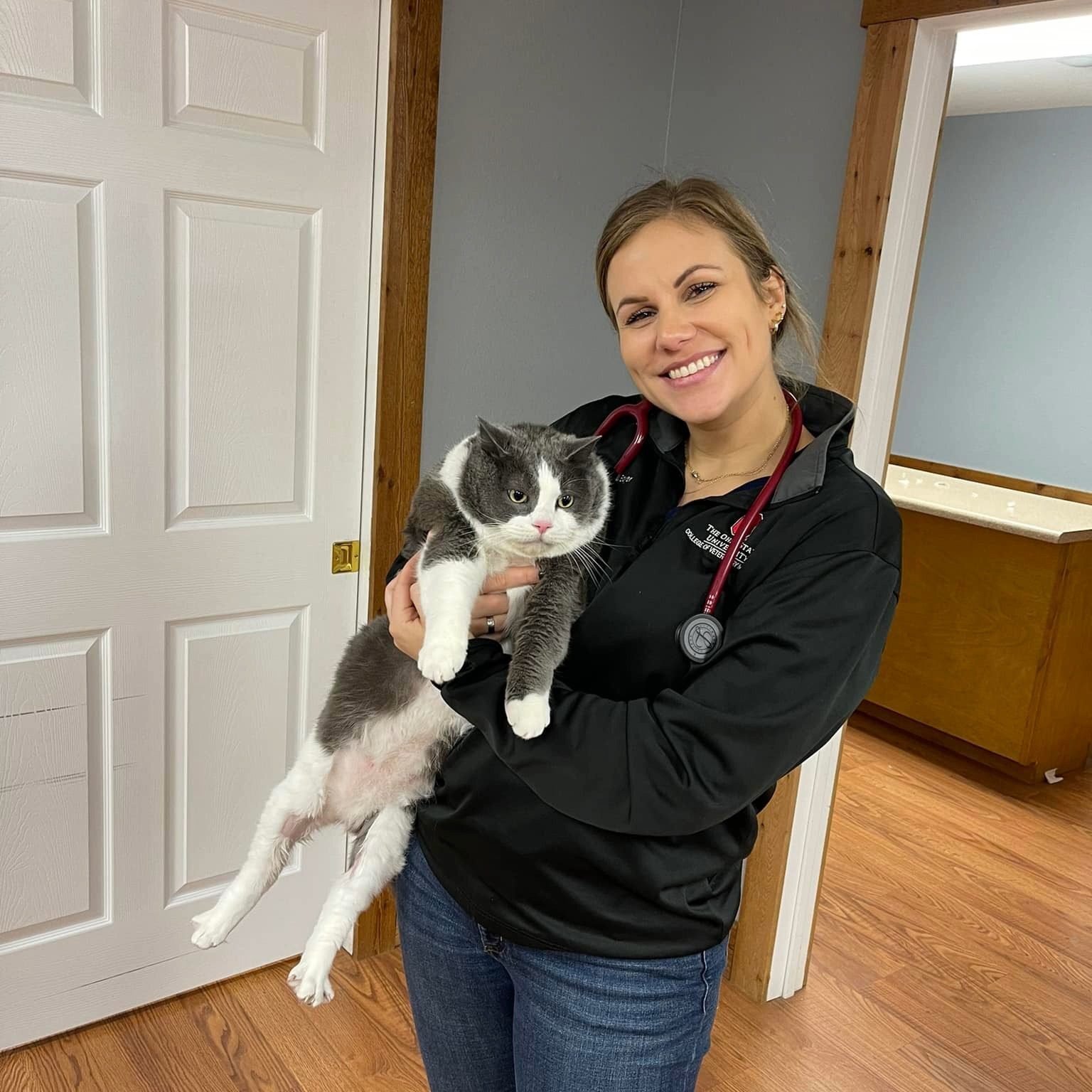 Female Veterinarian Holding Cat smiling female veterinarian holding gray and white cat