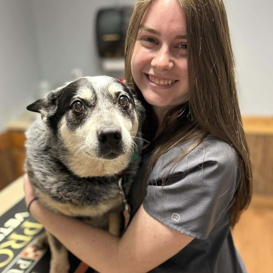 vet tech poses with a senior dog