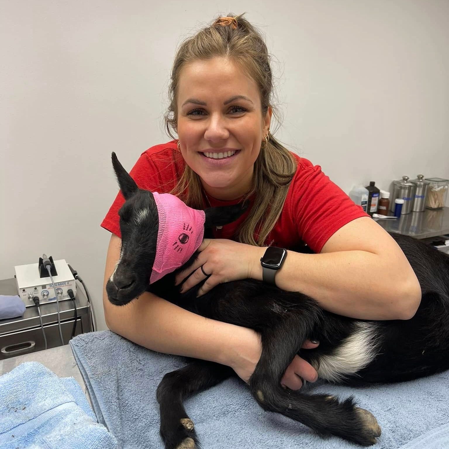 female veterinarian holding goat with its head bandaged