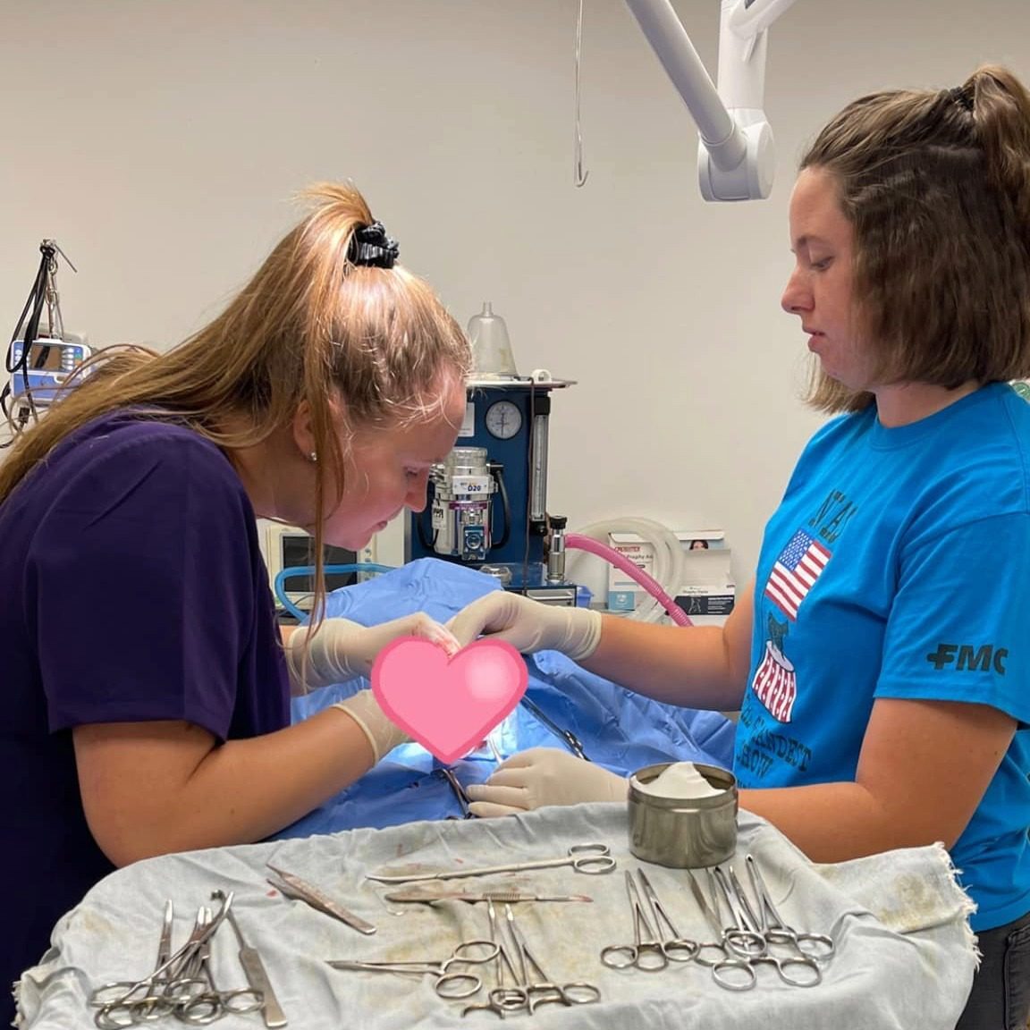 two female veterinary team members performing surgery on animal
