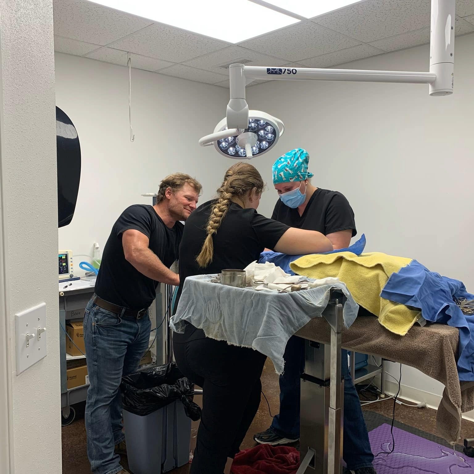 Jackson veterinary team members working together on pet's surgery